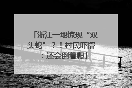 浙江一地惊现“双头蛇”？！村民吓懵：还会倒着爬